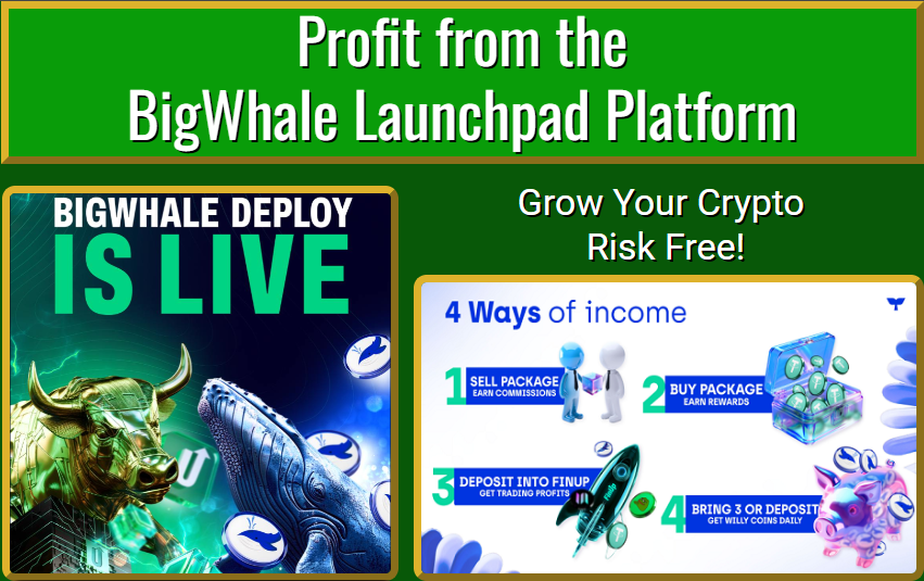 bigwhale launchpad